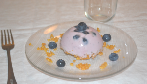 semifreddo allo yiogurt e mirtilli foto finale semifreddo allo yiogurt e mirtilli foto finale