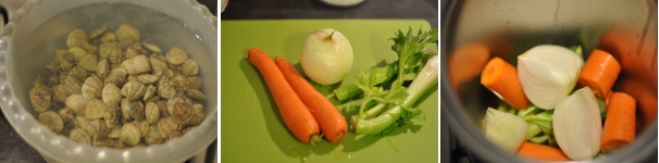 Mettete a bagno in acqua fredda le vongole insieme a una manciata di sale grosso per farle spurgare e perdere la sabbia all’interno. Nel frattempo pulite sedano, carota e cipolla e tagliatele grossolanamente. In una pentola capiente mettete le verdure e l’acqua e portatele a ebollizione. Cuocete per circa 15 minuti.