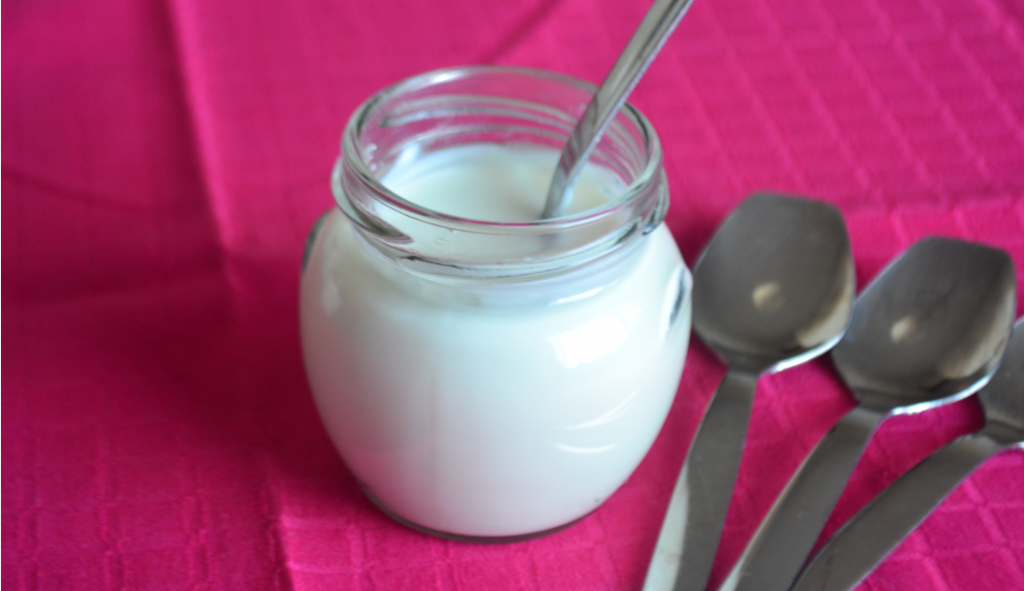 yogurt fatto in casa con la yogurtiera foto principale