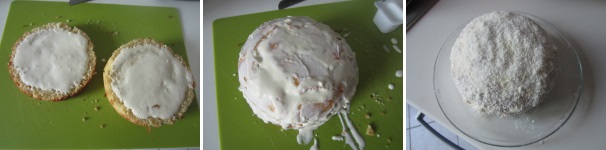Tagliate la torta in due metà. Coprite ogni metà con la crema, unite. Ricoprite tutta la torta con il resto della crema e con il cocco rimasto.