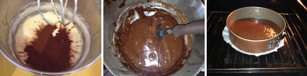 Infine come ultimo ingrediente aggiungete il cacao amaro in polvere ed amalgamatelo bene insieme agli altri. Infornate a 180 gradi per 25 minuti. Prima di togliere dal forno controllate bene che sia cotto.