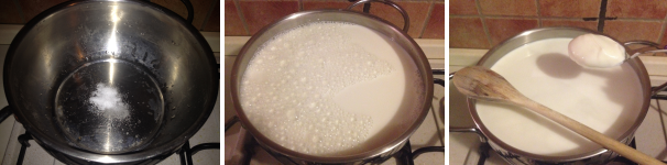 Per preparare il formaggio primo sale fatto in casa mettete in una pentola un pochino di sale, aggiungete il latte intero e fate scaldare. Aggiungete poi lo yogurt naturale e mescolate bene per farlo sciogliere nel latte.