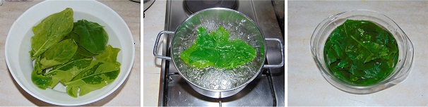 Pulite gli spinaci separando le foglie più belle dai gambi ed immergetele in abbondante acqua fredda, quindi lavatele bene così da eliminare tutte le impurità. Sul fuoco portate a bollore dell’acqua leggermente salata e scottatevi le foglie di spinaci per un tempo di due o tre secondi, solo per ammorbidirle e dopo aver fatto ciò passatele subito in acqua e ghiaccio per fermare la cottura e stabilizzare il colore delle foglie.