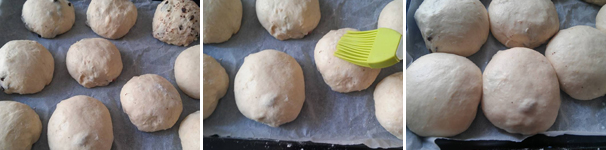 Formate quindi i panini dolci al latte e adagiateli su una placca forno rivestita da carta forno. Spennellateli con un goccino di latte e fateli lievitare ancora per 1 ora e mezza o 2. Infornate poi i vostri panini a 180 gradi per circa 15 minuti.