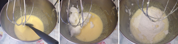 Montate il tutto fino a rendere il composto soffice e spumoso poi aggiungete la ricotta ed i bianchi d’uovo, mescolate ancora facendo girare lentamente le fruste per non smontare l’impasto. Aggiungete poi il burro ammorbidito e la farina setacciata.