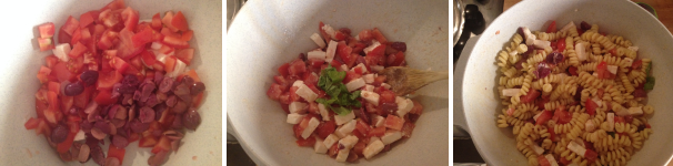 Unite tutti gli ingredienti che avete tagliato in una terrina, aggiungete anche il basilico e l’erba cipollina tagliata a pezzi e mescolate il tutto, poi aggiungete anche la pasta.