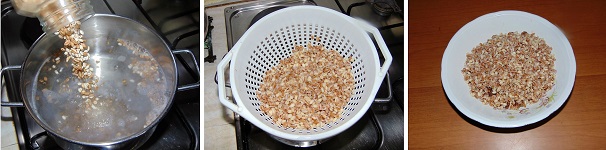 Passate alla cottura di farro ed orzo; portate a bollore una pentola con acqua e sale q versatevi dentro i due cereali, cuoceteli, seguendo le indicazioni ed i tempi riportati sulle confezioni. Una volta pronti, scolateli e passateli sotto un veloce getto di acqua fredda per fermare la cottura, lasciate che i liquidi sgocciolino via ed uniteli alle lenticchie.