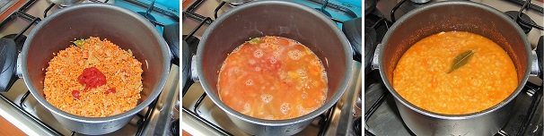 Una volta completata la tostatura delle lenticchie rosse unite il concentrato di pomodoro ed a seguire il brodo vegetale caldo ed un pizzico di sale quindi portate tutto ad ebollizione. Fatto ciò, abbassate la fiamma è fate cuocere per una ventina di minuti. Una volta pronta servite la vostra zuppa ancora calda con qualche crostino croccante.