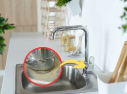 come eliminare calcare cucina