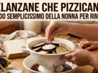 Mani di una nonna che sparge sale grosso su fette di melanzane in un colino bianco per eliminare il retrogusto piccante e amaro.