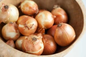 cipolle Primo a base di cipolle