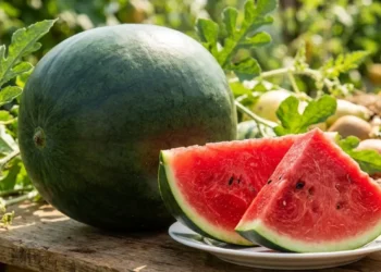 Come scegliere un'anguria dolce Un'anguria intera e due fette di cocomero rosso e maturo su un tavolo di legno all'aperto.