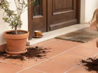 Vasi di terracotta con fondi di caffè posizionati sull'uscio della porta d'ingresso di casa per tenere lontani i gatti