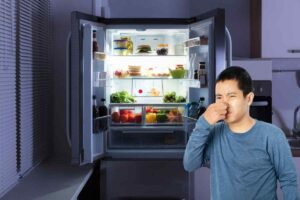 eliminare cattivi odori frigo