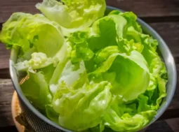 insalata fresca come conservarla integra per giorni con il trucco del panno