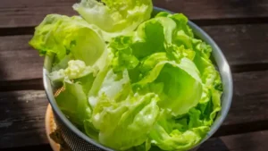 insalata fresca come conservarla integra per giorni con il trucco del panno