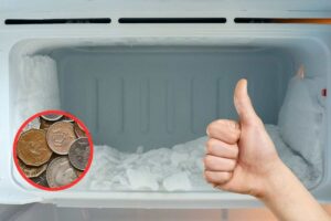 trucco moneta congelatore