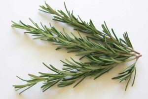 Rosmarino, rimedio naturale ad un problema estivo