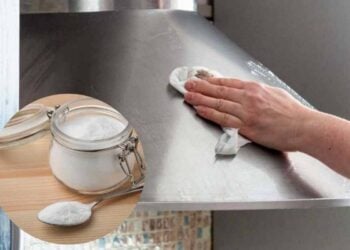 eliminare grasso cappa e filtri ricette.com