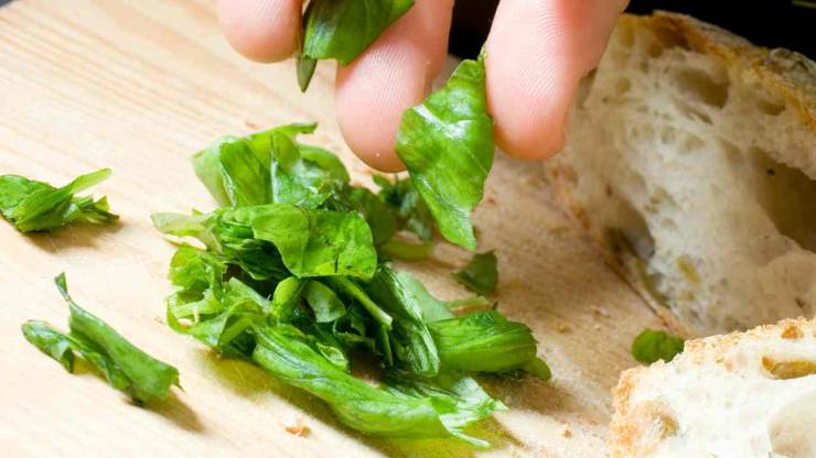 Portate a ebollizione una pentola di acqua salata e cuocete gli gnocchi. Quando salgono a galla, scolateli velocemente con una schiumarola e trasferiteli nella padella con i pomodorini. Unite un po’ d’olio e saltateli per un paio di minuti, così da farli insaporire bene. Spegnete la fiamma ed aggiungete la mozzarella di bufala tagliata a pezzi.Completate con foglie di basilico fresco spezzettate a mano, mantecate con il parmigiano ed un ultimo filo di olio extravergine a crudo. Servite subito e gustateli! Portate a ebollizione una pentola di acqua salata e cuocete gli gnocchi. Quando salgono a galla, scolateli velocemente con una schiumarola e trasferiteli nella padella con i pomodorini. Unite un po’ d’olio e saltateli per un paio di minuti, così da farli insaporire bene. Spegnete la fiamma ed aggiungete la mozzarella di bufala tagliata a pezzi.Completate con foglie di basilico fresco spezzettate a mano, mantecate con il parmigiano ed un ultimo filo di olio extravergine a crudo. Servite subito e gustateli!