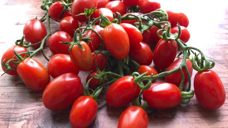 Preparate il sugo: lavate accuratamente i pomodori datterini, incideteli leggermente e sbollentateli per circa 10 secondi. Raffreddateli subito in acqua e ghiaccio, scolateli, pelateli e tagliateli a metà.In una padella scaldate un filo d’olio extra vergine d’oliva con uno spicchio d’aglio privato dell’anima. Appena diventa dorato, eliminatelo ed aggiungete i pomodorini: cuoceteli a fuoco dolce per 5 minuti, regolando di sale. Preparate il sugo: lavate accuratamente i pomodori datterini, incideteli leggermente e sbollentateli per circa 10 secondi. Raffreddateli subito in acqua e ghiaccio, scolateli, pelateli e tagliateli a metà.In una padella scaldate un filo d’olio extra vergine d’oliva con uno spicchio d’aglio privato dell’anima. Appena diventa dorato, eliminatelo ed aggiungete i pomodorini: cuoceteli a fuoco dolce per 5 minuti, regolando di sale.