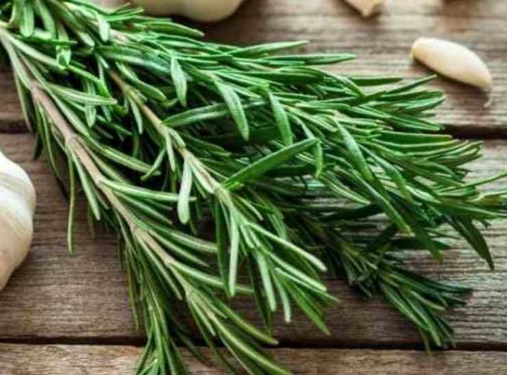 A questo punto giratela e proseguite la cottura, questa volta senza coperchio, fino a che entrambi i lati saranno ben dorati. Spegnete e fatela intiepidire, quindi guarnitela con qualche grano di sale grosso e rosmarino fresco e gustatela subito, croccantina e sfiziosa! A questo punto giratela e proseguite la cottura, questa volta senza coperchio, fino a che entrambi i lati saranno ben dorati. Spegnete e fatela intiepidire, quindi guarnitela con qualche grano di sale grosso e rosmarino fresco e gustatela subito, croccantina e sfiziosa!