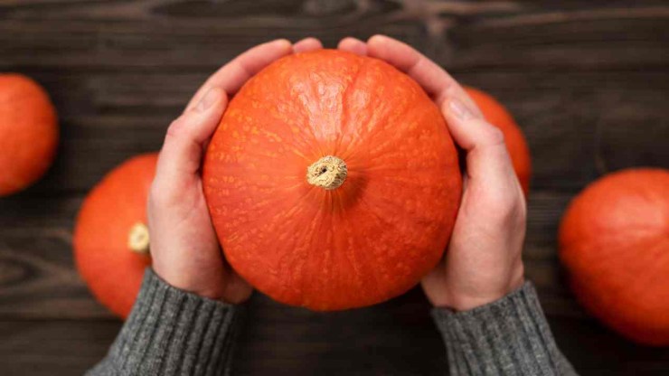 Zucca di Halloween guida completa come intagliare ricette ricette.com