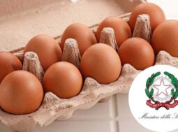 allerta nazionale richiamo uova fresche ricette.com allerta nazionale richiamo uova fresche ricette.com