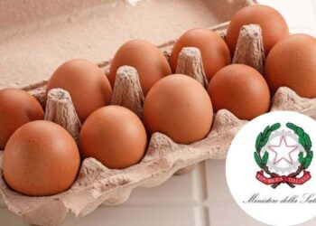 allerta nazionale richiamo uova fresche ricette.com allerta nazionale richiamo uova fresche ricette.com