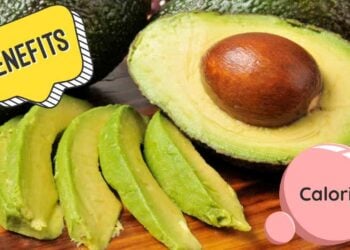 avocado calorie benefici come conservarlo ricette.com