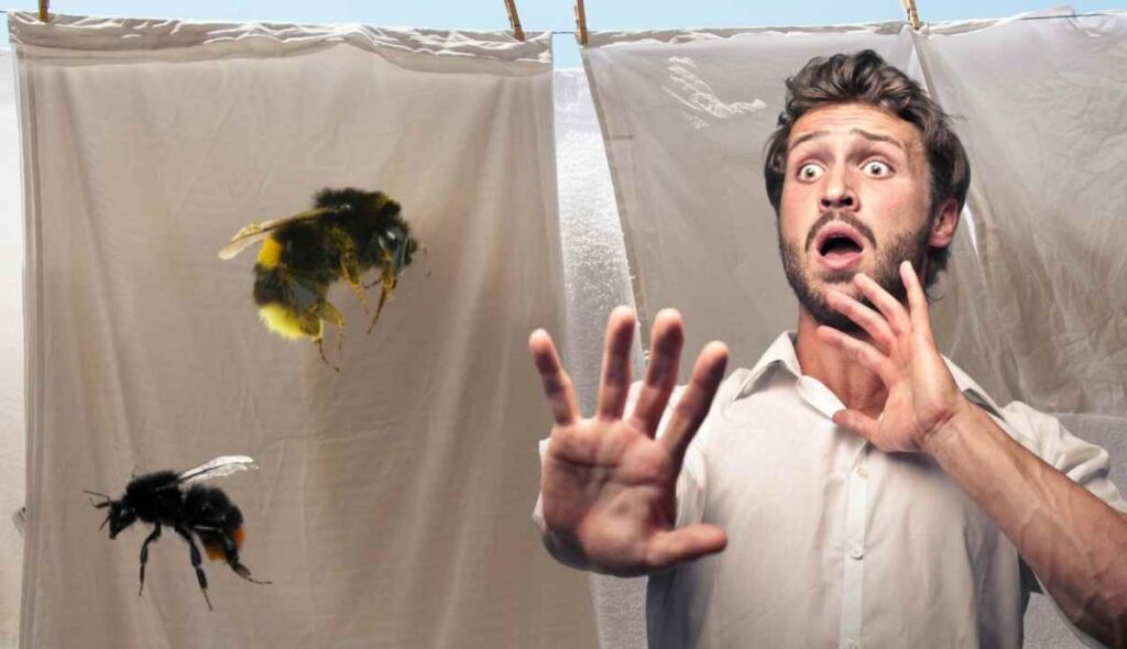 calabroni addio ricette.com