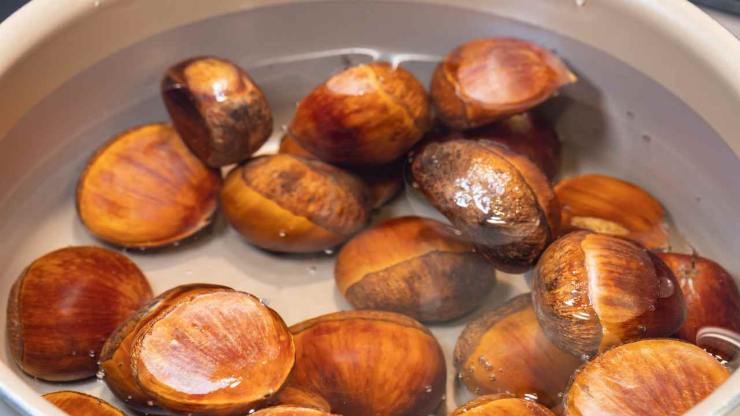 Iniziate mettendo le castagne in una ciotola capiente con acqua fredda e lasciatele in ammollo per un’ora. Eliminate quelle che galleggiano perchè contengono aria o vermetti e non sono buone. Scolatele, sciacquatele e praticate una piccola incisione sulla buccia esterna, quindi rimettetele in ammollo per altri 30 minuti.