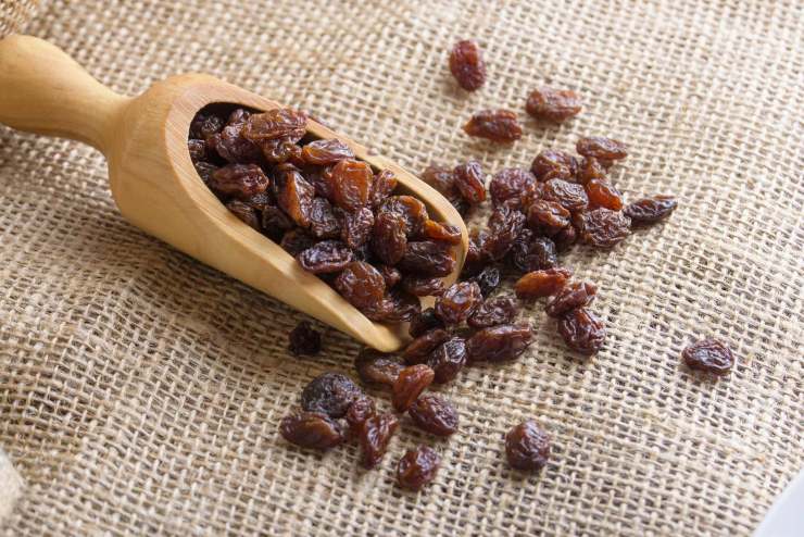 Questa volta utilizzate un cucchiaio oppure procedete con le mani e regolatevi fino ad ottenere un impasto morbido, ma compatto.Unite la frutta secca scelta: se usate l’uvetta, mettetela a bagno qualche minuto nel vino rimasto o in acqua tiepida per reidratarla. Quindi scolatela e strizzatela prima di inserirla nell’impasto ed amalgamate ancora. Questa volta utilizzate un cucchiaio oppure procedete con le mani e regolatevi fino ad ottenere un impasto morbido, ma compatto.Unite la frutta secca scelta: se usate l’uvetta, mettetela a bagno qualche minuto nel vino rimasto o in acqua tiepida per reidratarla. Quindi scolatela e strizzatela prima di inserirla nell’impasto ed amalgamate ancora.