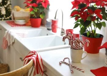 come addobbare la cucina a natale ricette.com