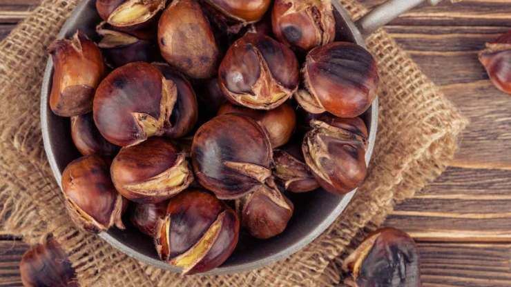 come cucinare le castagne in tutti i modi possibili ricette.com