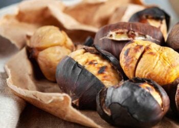 come fare le castagne in friggitrice ad aria ricette.com