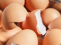 come usare gusci delle uova ricette.com