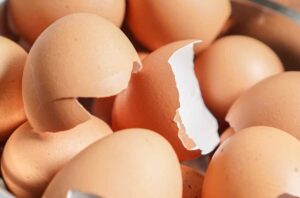 come usare gusci delle uova ricette.com