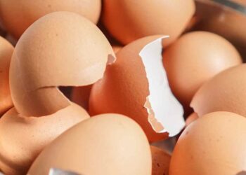 come usare gusci delle uova ricette.com
