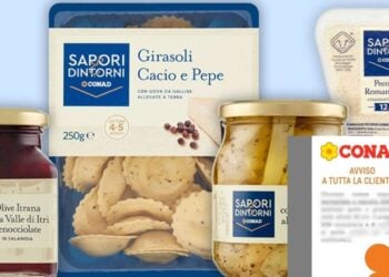 conad avviso sapori e dintorni ricette.com