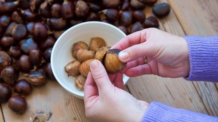 Sciacquatele bene, pesatele e mettetele in una pentola: riempite con acqua a filo, accendete a fuoco dolce e fate cuocere per 35-40 minuti con il coperchio appena sollevato. Al termine le castagne avranno assorbito l’acqua sfaldandosi e diventando quasi cremose. Frullate tutto con un mixer ad immersione fino ad ottenere una purea liscia, oppure lasciate le castagne un po’ a pezzettini se desiderate una consistenza più rustica.