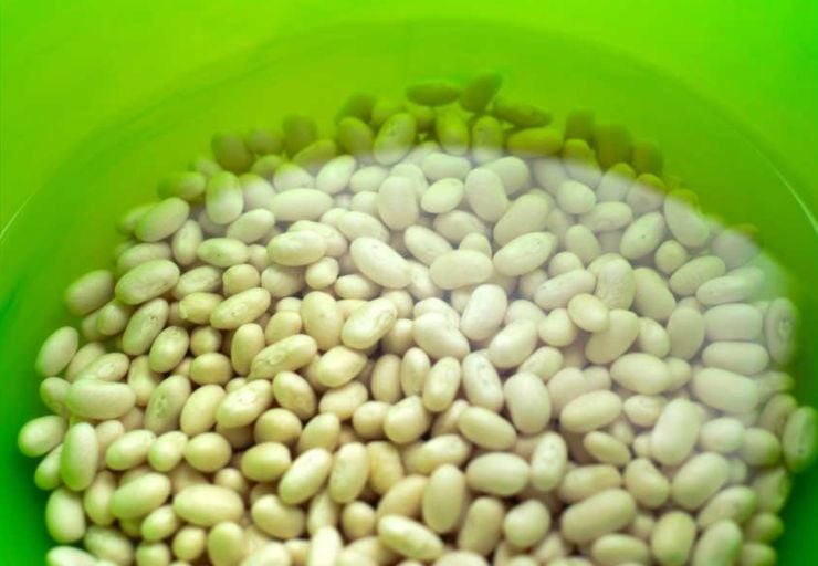 Iniziate la ricetta mettendo in ammollo i fagioli per circa 10 ore, preferibilmente la sera prima. Scolateli, sciacquateli bene e trasferiteli in una pentola capiente: copriteli con abbondante acqua fredda, unite le foglie di alloro e portate a bollore. Quando l’acqua inizia a sobbollire, abbassate la fiamma e lasciate cuocere per circa 20 minuti, eliminando la schiuma che si forma in superficie con un colino. Iniziate la ricetta mettendo in ammollo i fagioli per circa 10 ore, preferibilmente la sera prima. Scolateli, sciacquateli bene e trasferiteli in una pentola capiente: copriteli con abbondante acqua fredda, unite le foglie di alloro e portate a bollore. Quando l’acqua inizia a sobbollire, abbassate la fiamma e lasciate cuocere per circa 20 minuti, eliminando la schiuma che si forma in superficie con un colino.