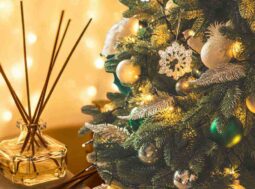 profumo casa per Natale fai da te ricette.com profumo casa per Natale fai da te ricette.com