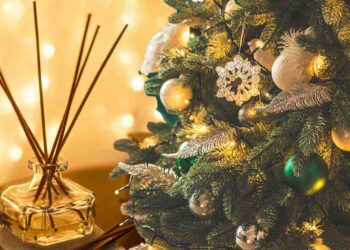 profumo casa per Natale fai da te ricette.com profumo casa per Natale fai da te ricette.com