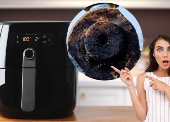 questa parte della friggitrice ad aria è la più sporca in assoluto ricette.com questa parte della friggitrice ad aria è la più sporca in assoluto ricette.com