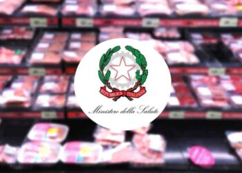 richiamo hamburger ministero della salute ricette.com