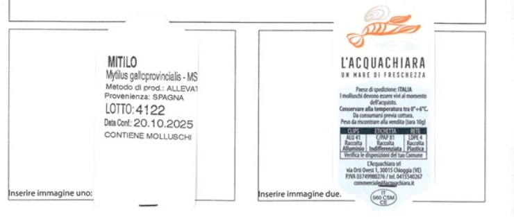 richiamo urgente salmonella 27.10.2025 ricette.com