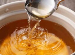 brodo anti invecchiamento ricette.com