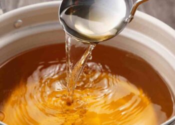 brodo anti invecchiamento ricette.com