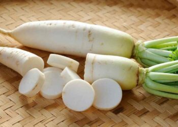 daikon che sapore ha e fa dimagrire ricette.com daikon che sapore ha e fa dimagrire ricette.com